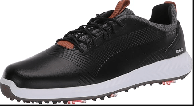 Ignite PWRAdapt Leather 2.0