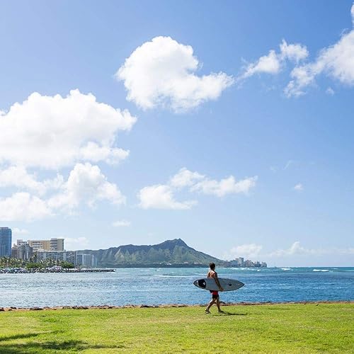 Reef Ortho - Spring Brown 8 M 192824061753 Rebound Footwear